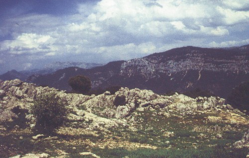 Bild vergr&ouml;&szlig;ern