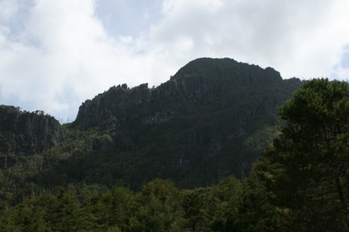 Cerro Conejo