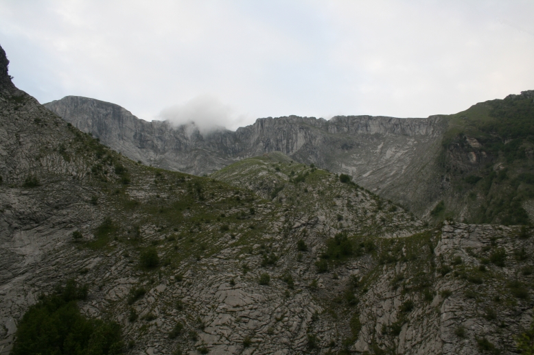 Bild vergrern
