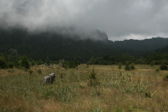 Cerro Conejo