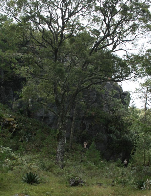 Cerro Conejo